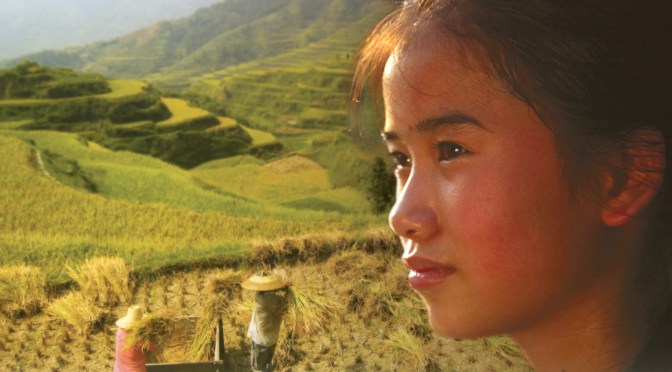 A Menina dos Campos de Arroz