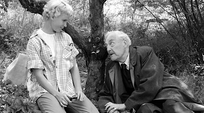 Bergman – Morangos Silvestres