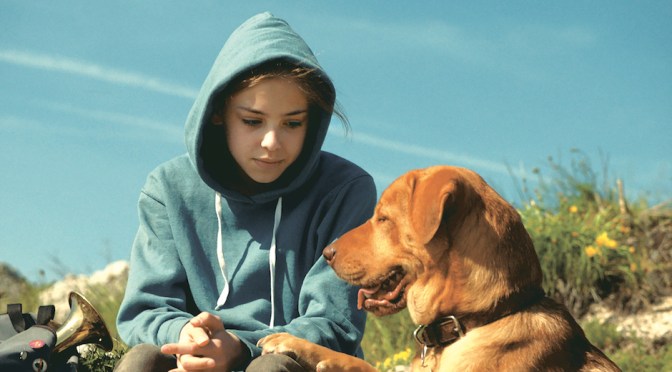 Momento Fofura Canina