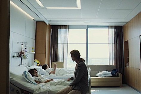 blogib_Cervo-Sagrado_mat2