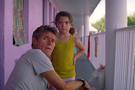 blogib_projeto-florida_mat1