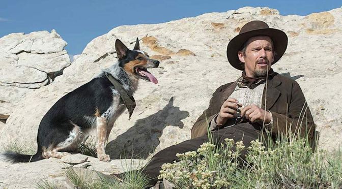 Julho em casa? Mais 7 ótimos filmes que acabam de entrar no streaming