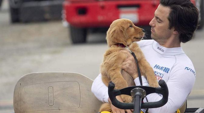 “Meu Amigo Enzo”: entre lágrimas e latidos