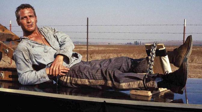 5 filmes que nunca perdem o charme para animar seu feriado